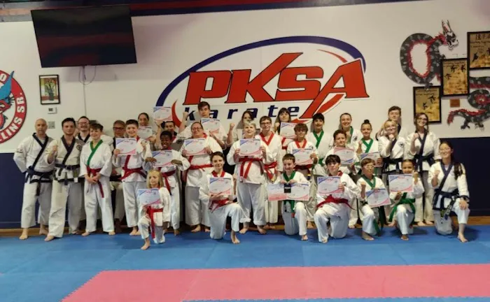 Pksa Karate Flat Rock Picture 10