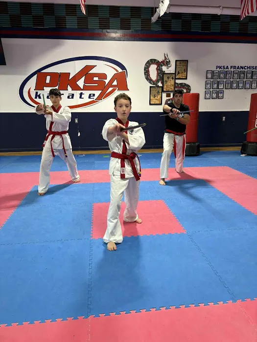 Pksa Karate Flat Rock Picture 6