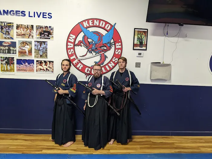 Pksa Karate Flat Rock Picture 8