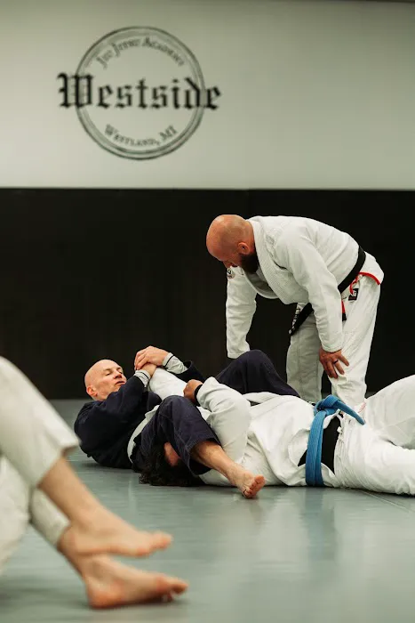 Westside Jiu Jitsu Academy Picture 5