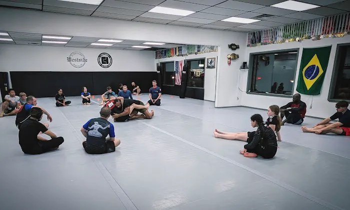Westside Jiu Jitsu Academy Picture 7