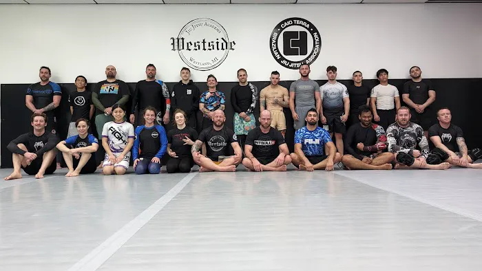 Westside Jiu Jitsu Academy Picture 3