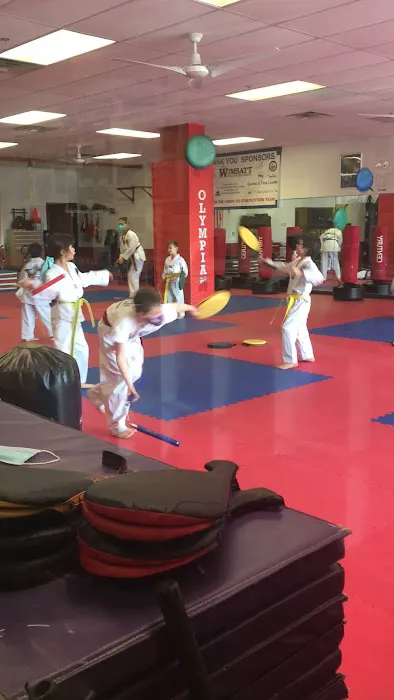 Olympia Taekwondo Picture 10