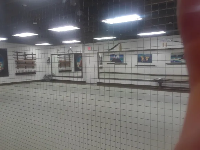 School of Martial Arts Picture 1