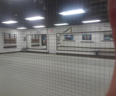School of Martial Arts