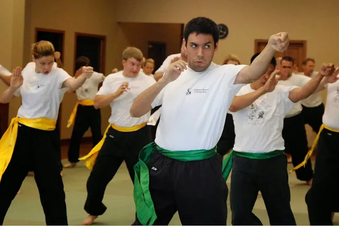School of Martial Arts Picture 2