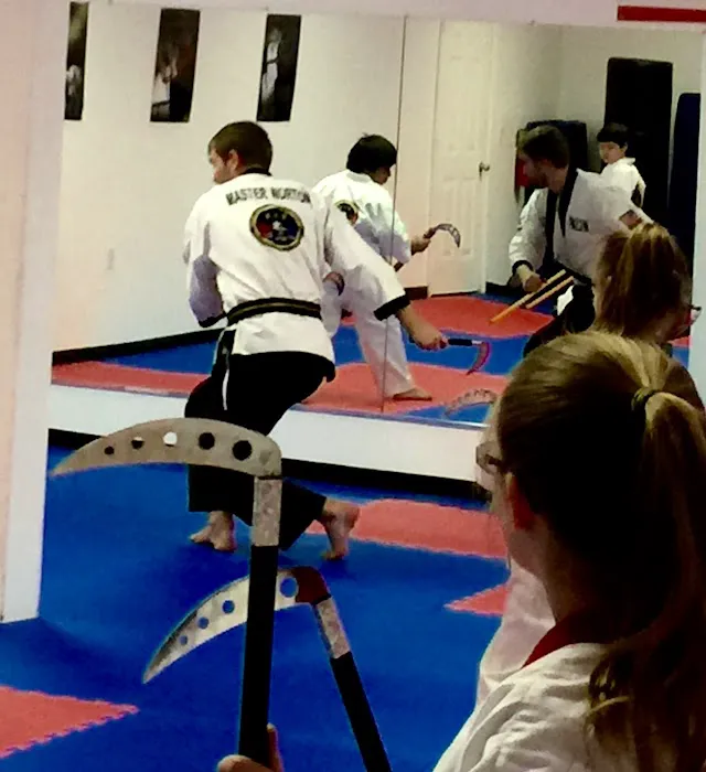 World Class Institute of Martial Arts Picture 5