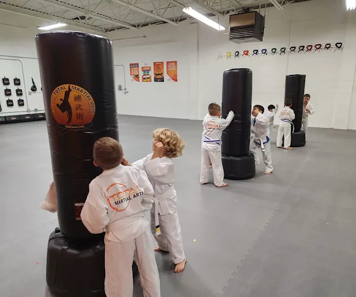 Total Martial Arts Birmingham | Royal Oak Picture 5