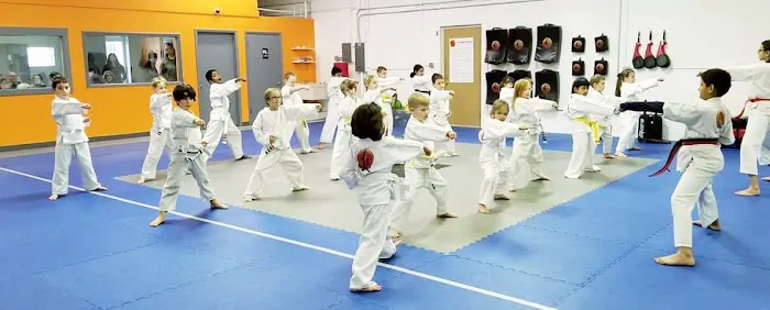 Total Martial Arts Birmingham | Royal Oak Picture 6