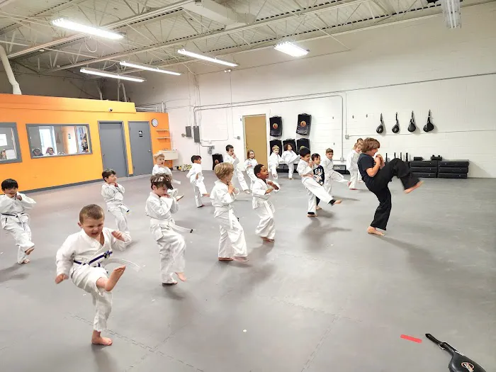 Total Martial Arts Birmingham | Royal Oak Picture 10