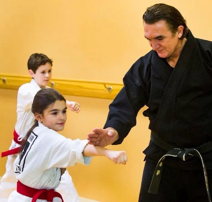 Birmingham Martial Arts Picture 3
