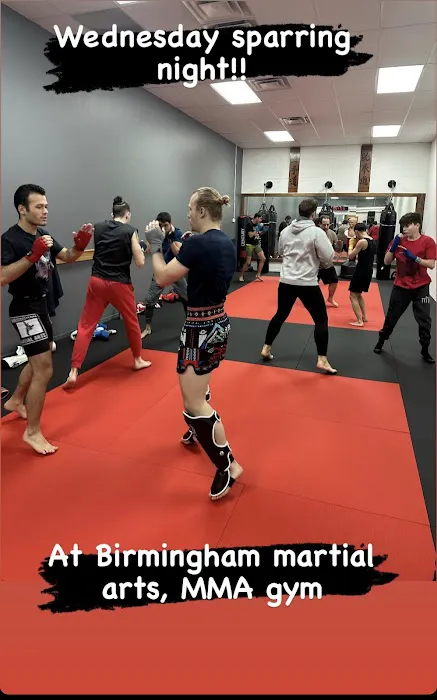 Birmingham Martial Arts Picture 9