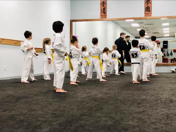 Birmingham Martial Arts Picture 10