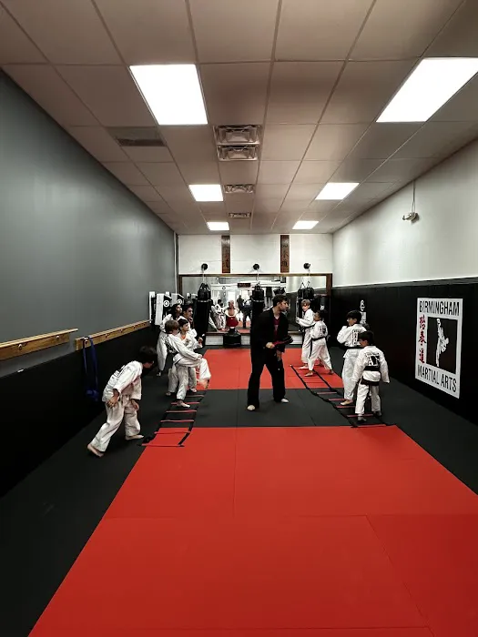 Birmingham Martial Arts Picture 8
