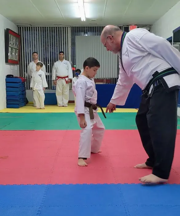 United Tae Kwon Do Warren Picture 4