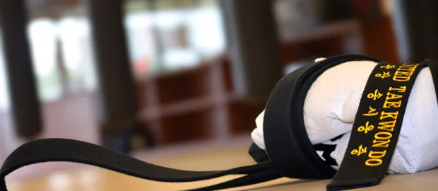 United Tae Kwon Do Warren Picture 7