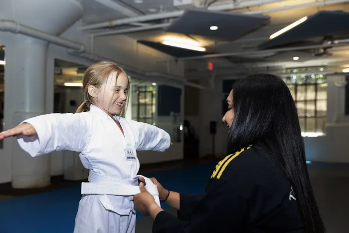 Michigan Academy of Taekwondo Picture 1