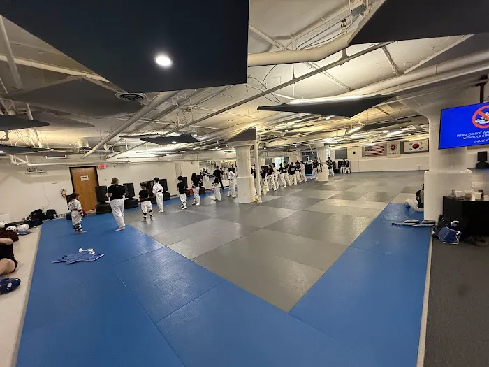 Michigan Academy of Taekwondo Picture 8