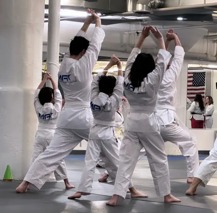 Michigan Academy of Taekwondo Picture 10