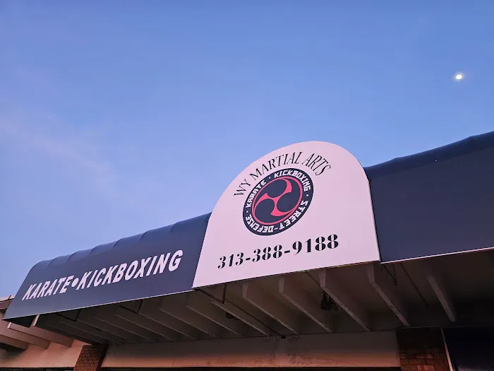 W Y Martial Arts Academy Picture 1