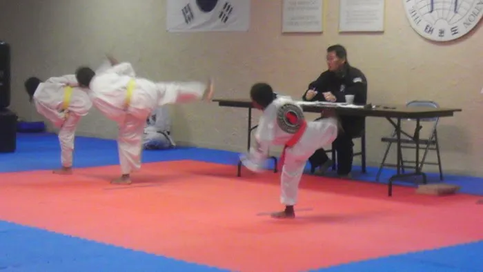 Tiger Chung's Tae Kwon DO Picture 1