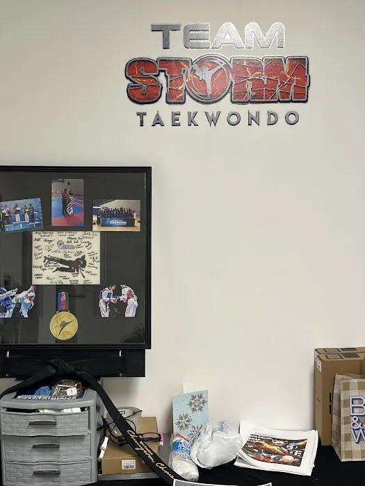Storm Sport Taekwondo Picture 7