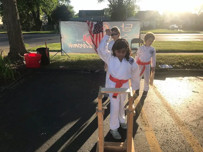 PKSA Karate - Livonia Picture 1