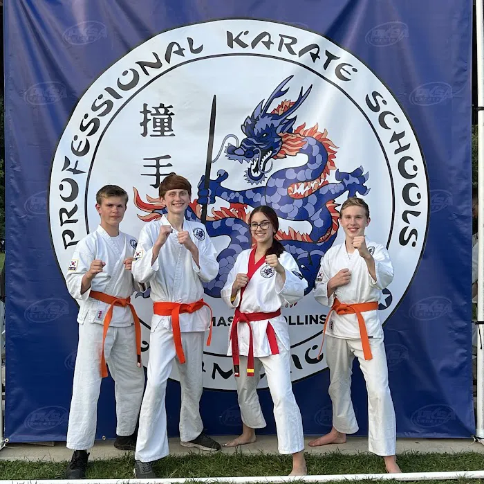 PKSA Karate - Livonia Picture 3