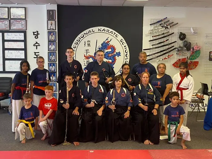 PKSA Karate - Livonia Picture 2