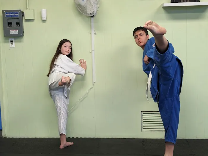 Japanese Martial Arts Academy Picture 1