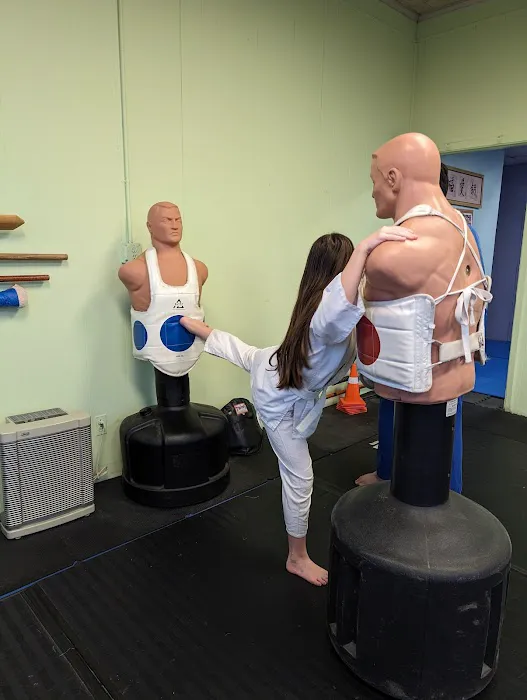 Japanese Martial Arts Academy Picture 6