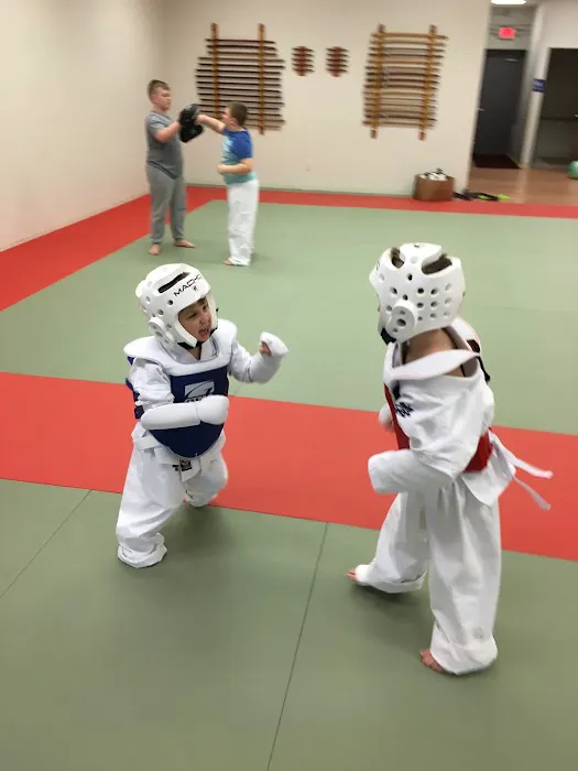 Great Lakes Kyokushin Karate Picture 1