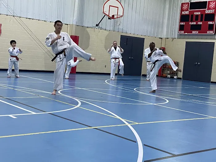 Great Lakes Kyokushin Karate Picture 2