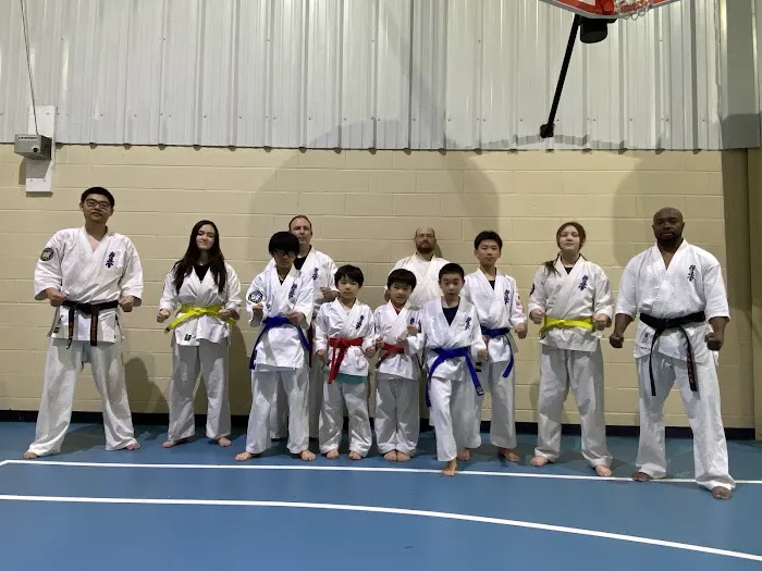 Great Lakes Kyokushin Karate Picture 7