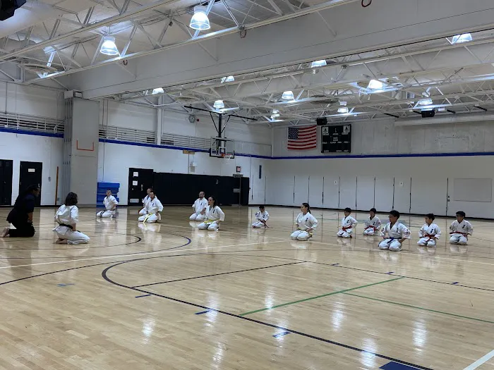 Great Lakes Kyokushin Karate Picture 6