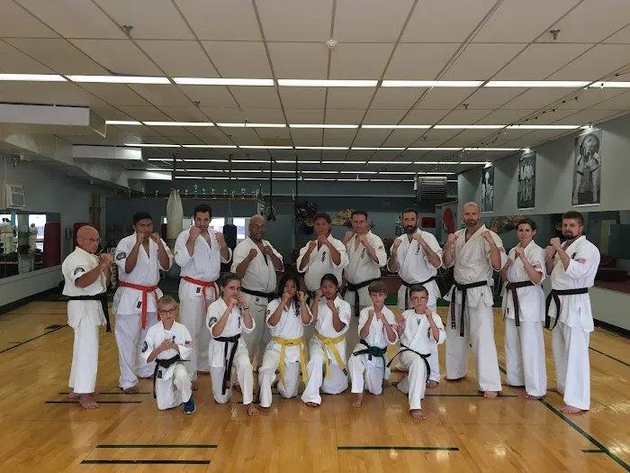 Great Lakes Kyokushin Karate Picture 10