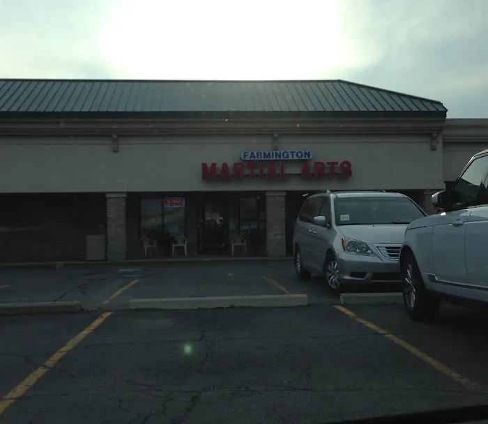 Farmington Martial Arts Picture 10