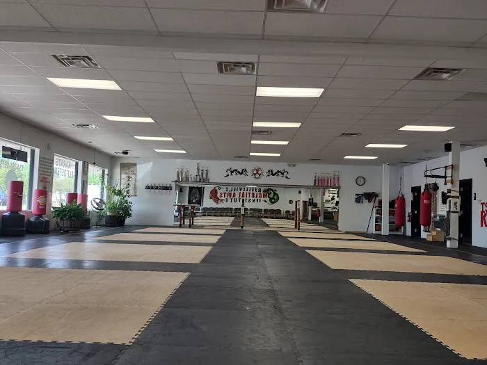 Belleville Martial Arts Institute Picture 2