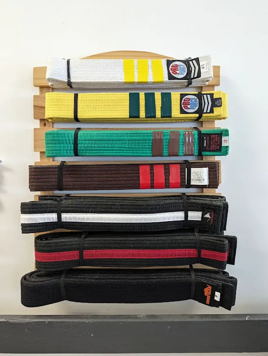 Belleville Martial Arts Institute Picture 4