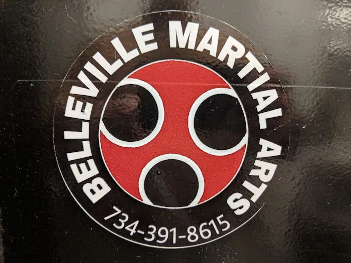 Belleville Martial Arts Institute Picture 6