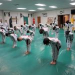 North American Taekwondo and Hoijeon Moosool Academy