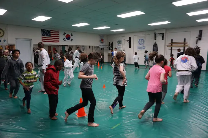 North American Taekwondo and Hoijeon Moosool Academy Picture 5