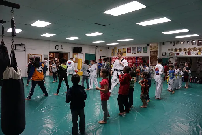 North American Taekwondo and Hoijeon Moosool Academy Picture 4