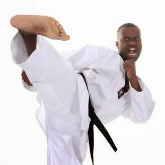 North American Taekwondo and Hoijeon Moosool Academy Picture 8