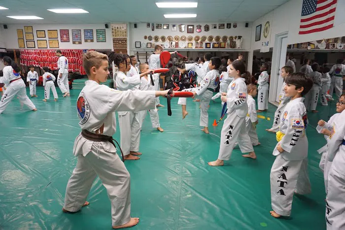 North American Taekwondo and Hoijeon Moosool Academy Picture 10