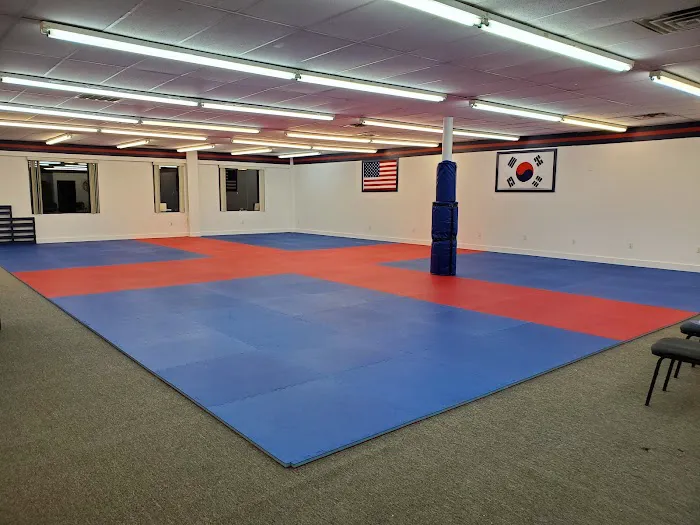 PKSA Karate Ann Arbor North Picture 1