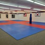 PKSA Karate Ann Arbor North