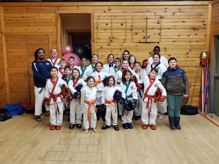 PKSA Karate Ann Arbor North Picture 6