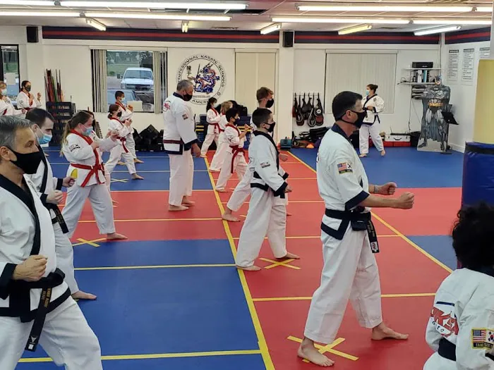 PKSA Karate Ann Arbor North Picture 5