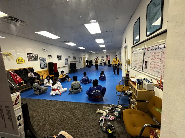 Ann Arbor Tae Kwon DO School Picture 1